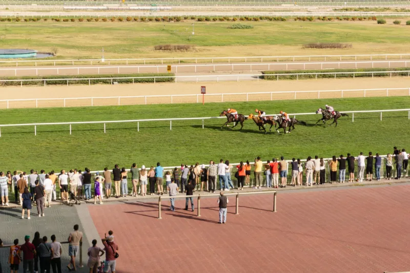 Swimming Against the Tide: Why Betting Against the Crowd at Australia's Biggest Sporting Events Can Be Your Sharpest Move
