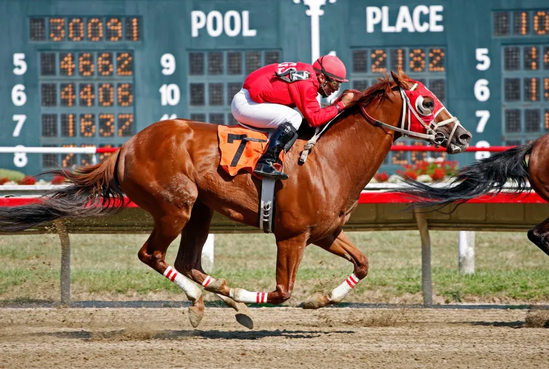 Follow the Money: What Shifting Betting Lines Are Really Telling You